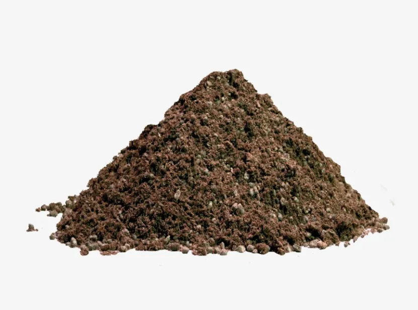 TERRICCIO PROFESSIONALE SACCO DA 2OL CON TORBA BIONDA, POMICE E CONCIME A LENTA CESSIONE (8-12 MESI)